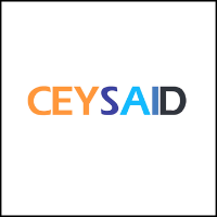 ceysaid Travels